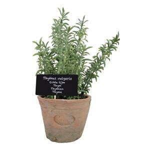 Umělá rostlina (výška 21,5 cm) Thyme – Esschert Design