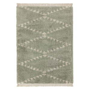 Zelený koberec 200x290 cm Rocco – Asiatic Carpets