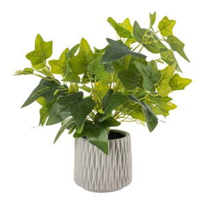 Umělá rostlina (výška 39 cm) Ivy – Ixia